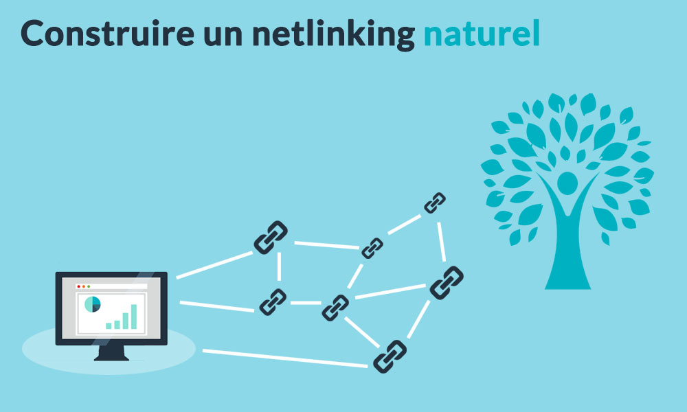 étblir un netlinking naturel