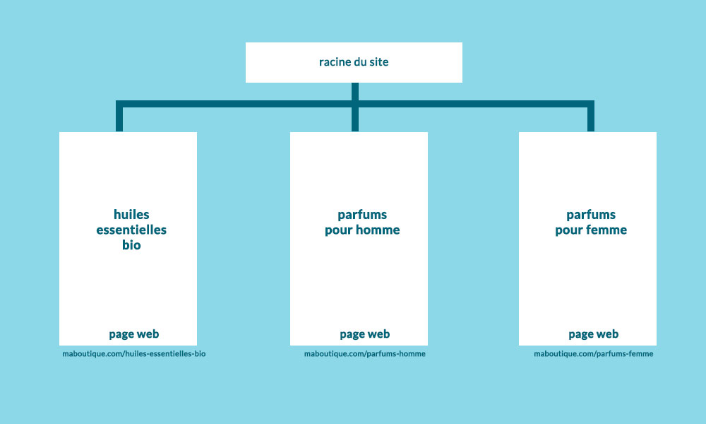 Exemple de structure de pages pour le référencement naturel d'un site